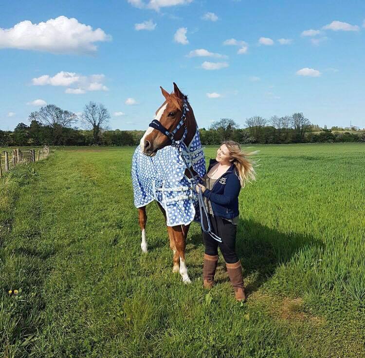 horse-wearing-derby-house-pro-lightweight-turnout-rug