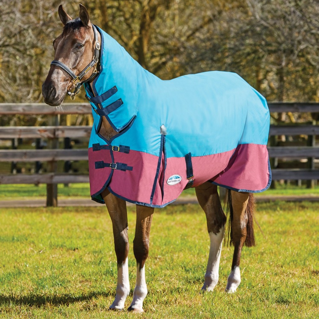 weatehrbeeta-comfitect-classic-medium-combo-turnout-rug