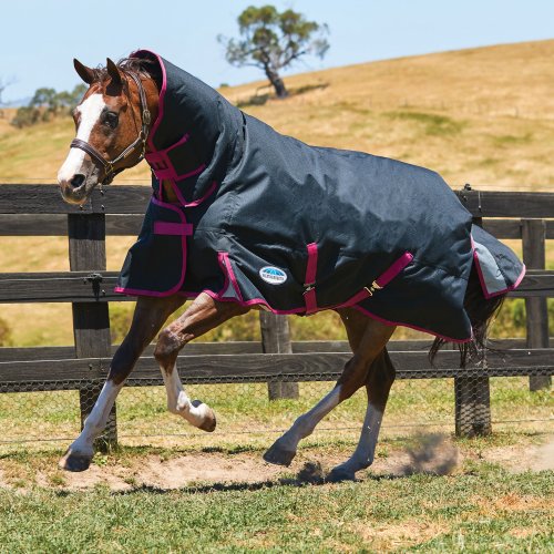 weatherbeeta-comfitec-premier-free-combo-heavy-turnout-rug