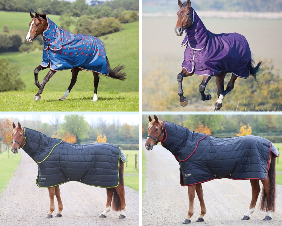 SHIRES STORMCHEETA TURNOUT COMBO NECK/WITH NECK 300G HEAVYWEIGHT 