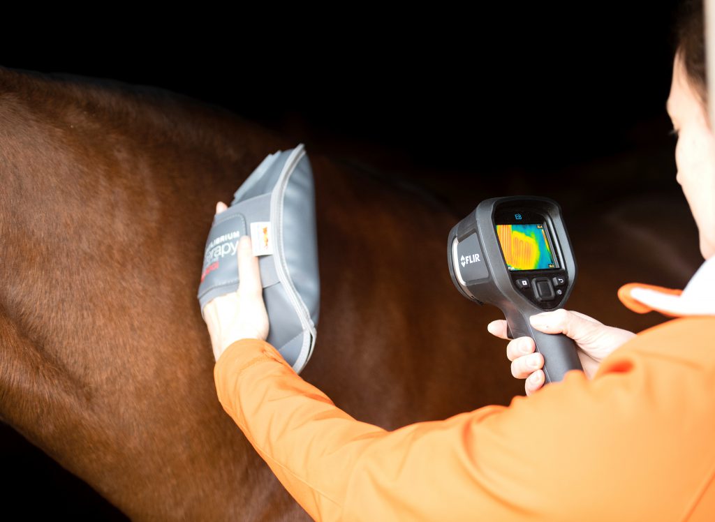 equilibrium-therapy-hotspot-massage-mitt