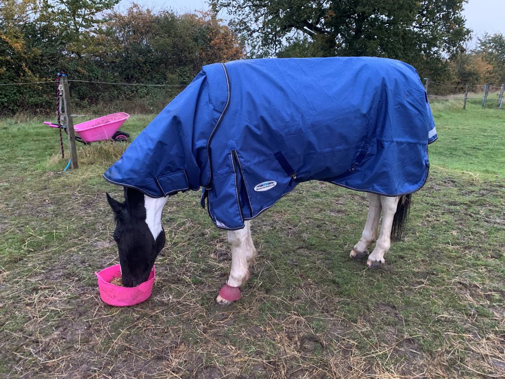 weatherbeeta-comfitec-ultra-tough-detach-a-neck-medium-lite-turnout-rug