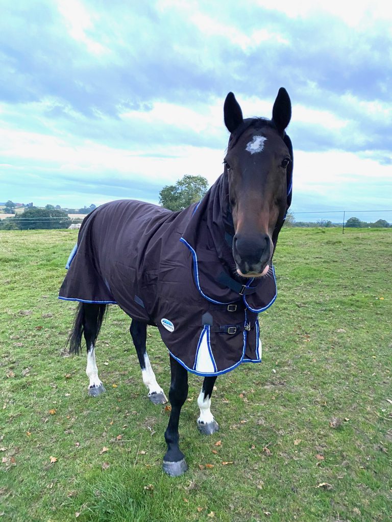 weatherbeeta-comfitec-ultra-cozi-II-detach-a-neck-medium-lite-turnout-rug