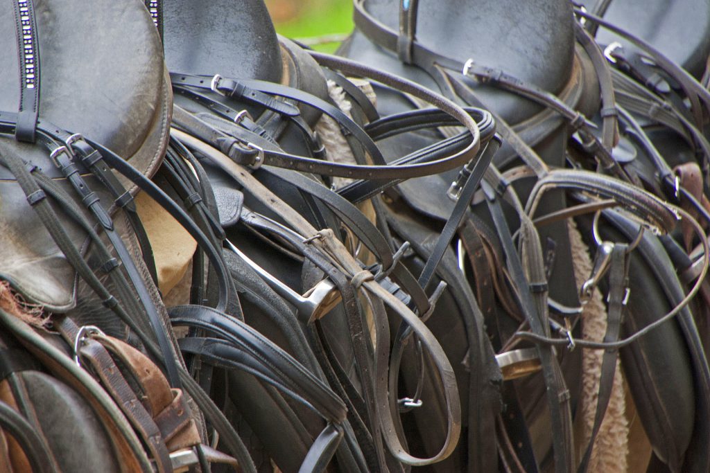 Spring Cleaning Checklist -Tack room and Tack