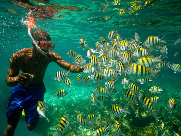 Image Source: nationalgeographic.com