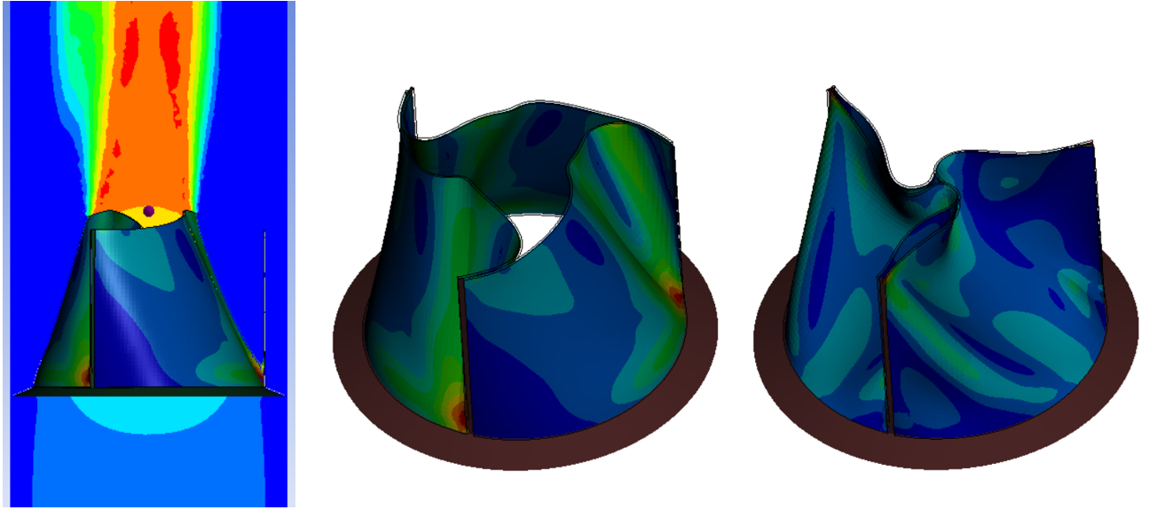 Simulación de la válvula aórtica de Wheatley