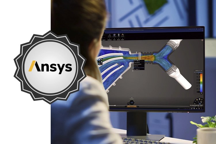 Anys simulation