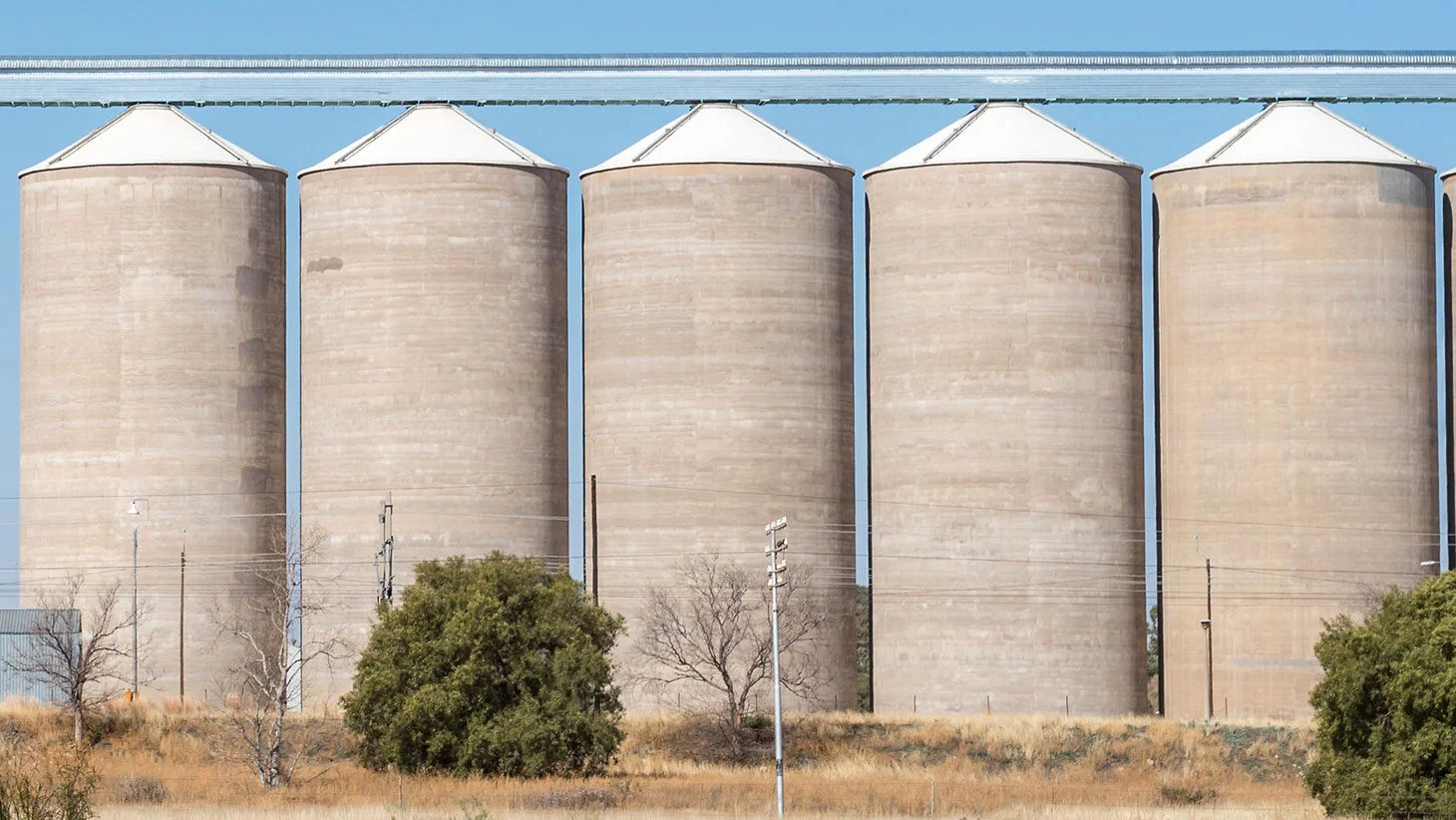 Modellazione dei silos per lo stoccaggio della soia
