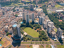 Imagem Decorativa 1
