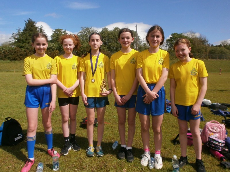Fermanagh Cross Country Competition: P7 Girls.