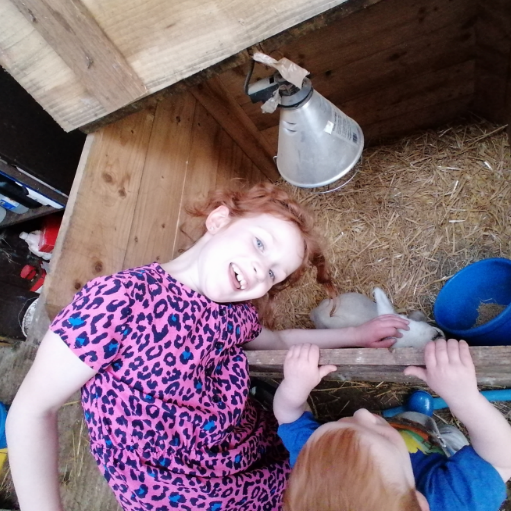 Sarola helps feed the new lambs