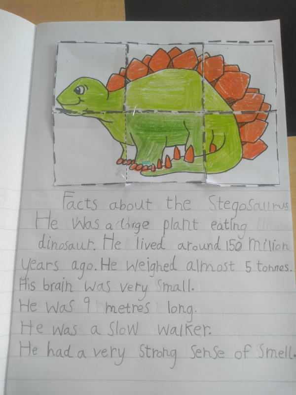 Tara's dinosaur work, we love your dinosaur facts Tara.