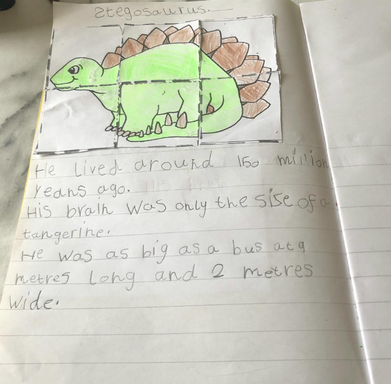 Dinosaur facts: beautiful writing and a lovely picture of a Stegosaurus