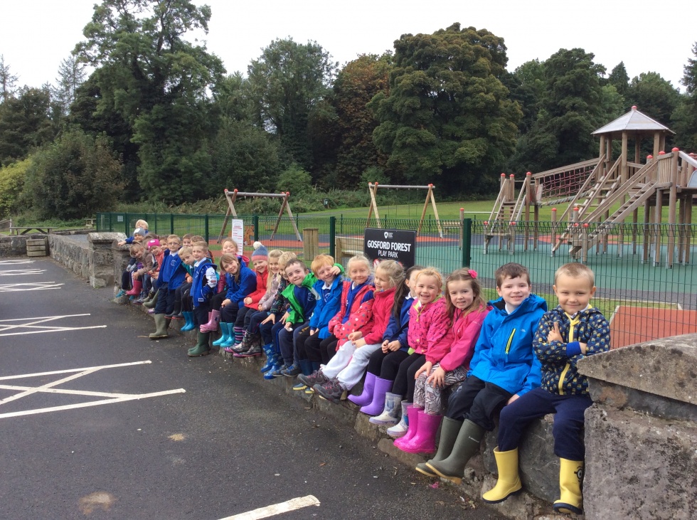 P2/3 Autumn book.