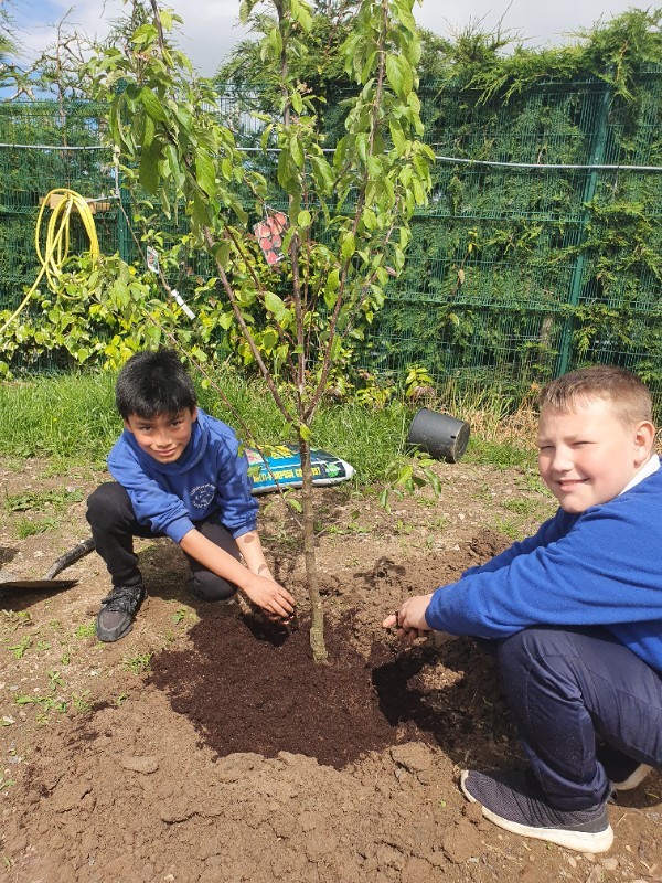 Platinum Centenary Sensory Garden Nears Completion