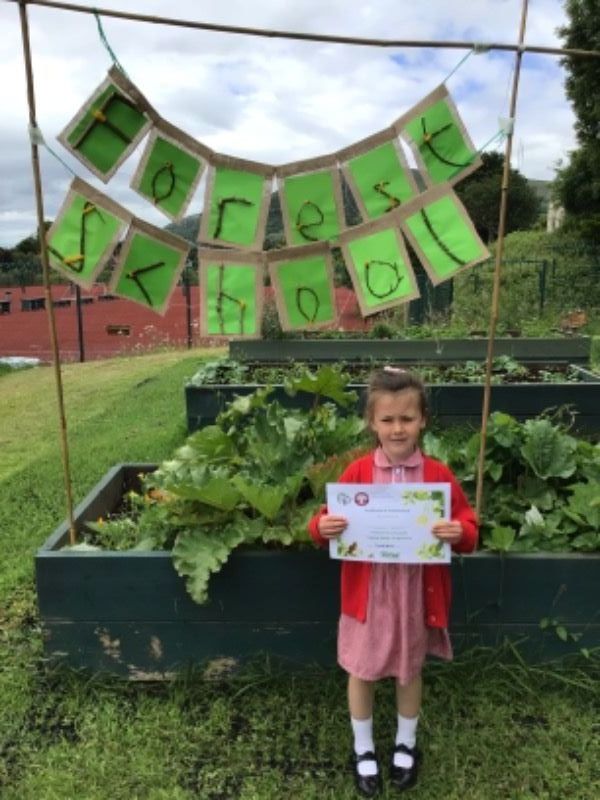 Forest School Certificates