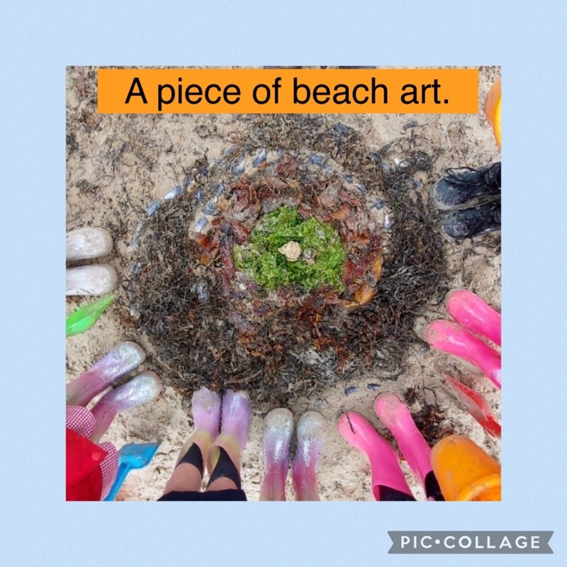 We used lettuce, bladderwrack seaweed, shells and egg nests to design our own piece of art.
