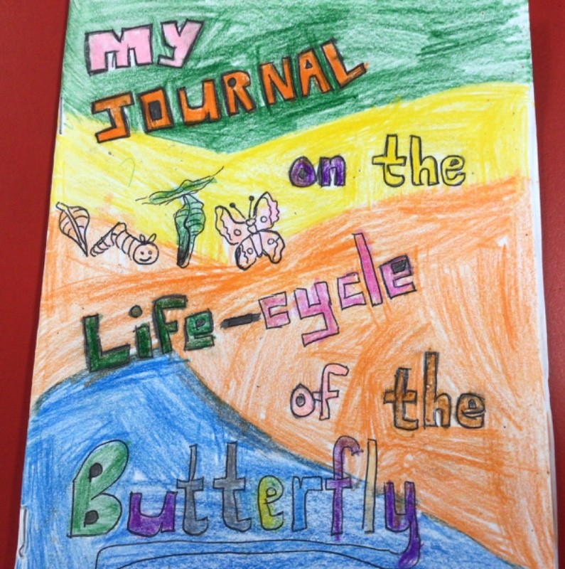 We made a diary so we can write and draw about the changes in the caterpillars.