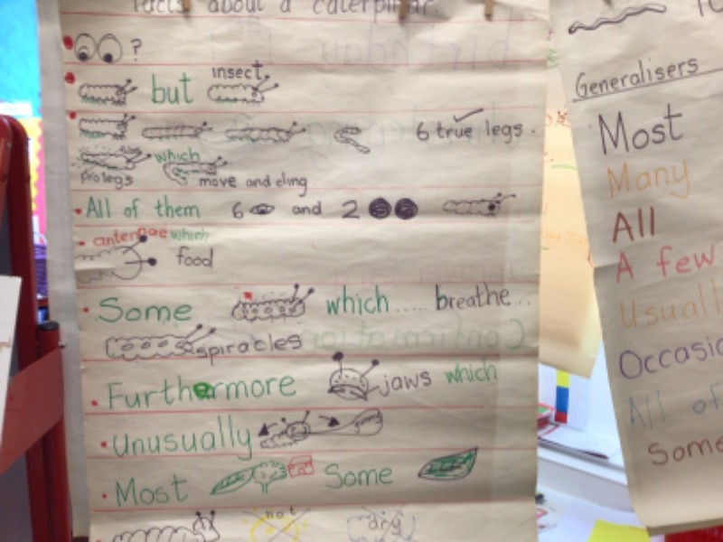 P3 made a story map about the Facts of a Caterpillar.