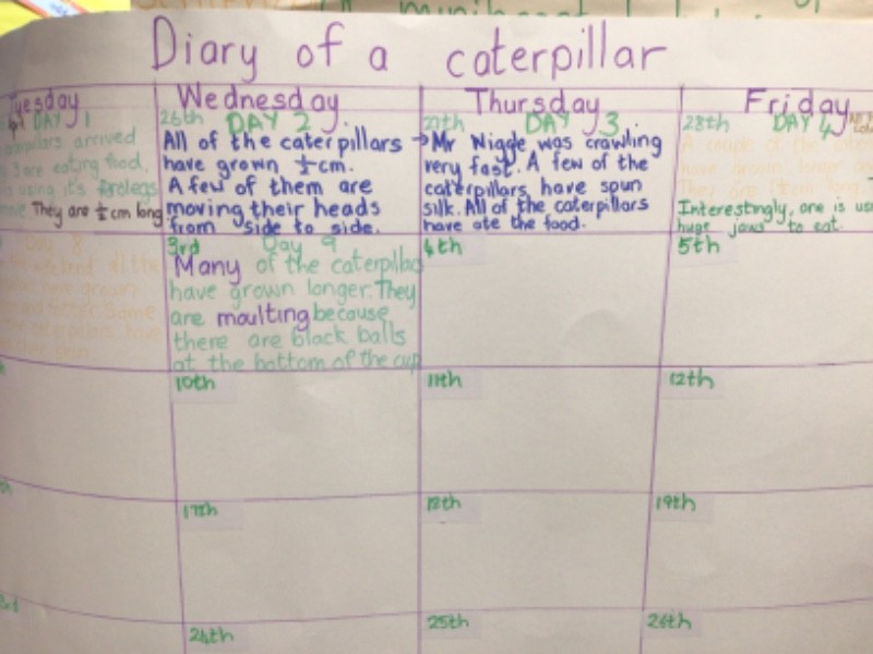 We are also learning how to use a calendar.