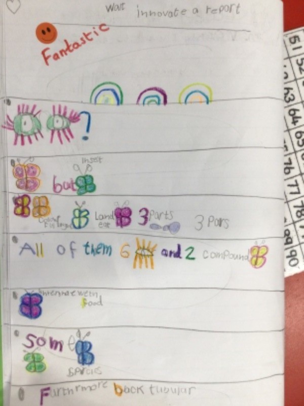 We are making a story map in our Talk For Writing.