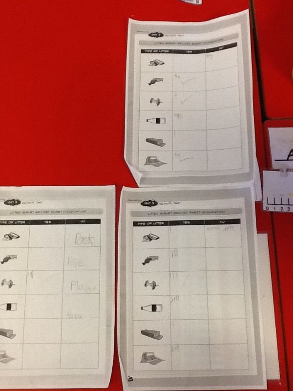 We used our tallying sheet to calculate the different types of rubbish found in our school grounds. In first place was.....plastic,second place...orange peel and third place sweetie wrapper!