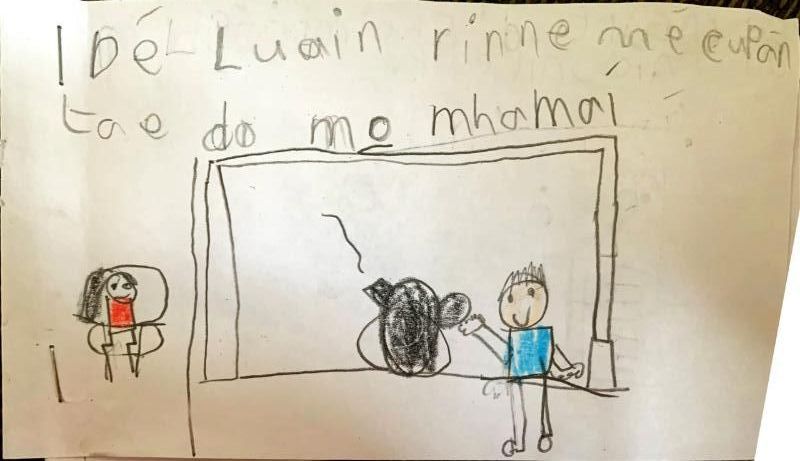 Na dóigheanna a bhí Kayden cinéalta an tseachtain seo