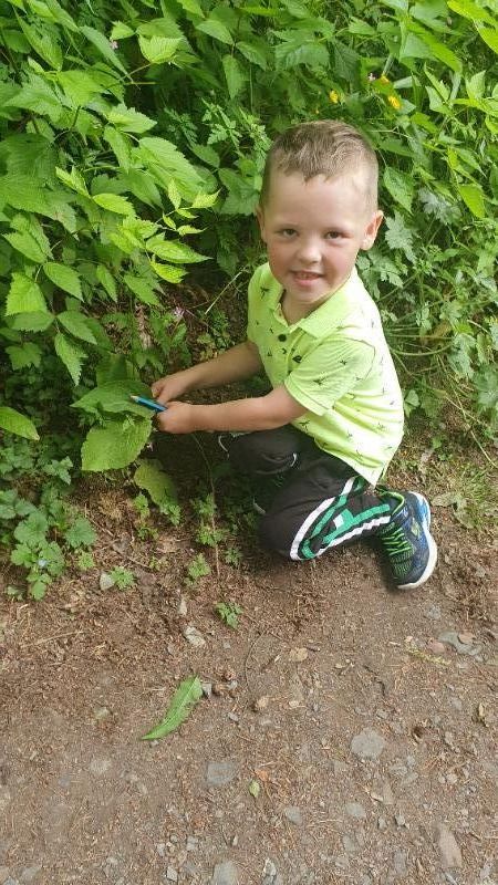 Micheal exploring nature in Parkanaur π³
