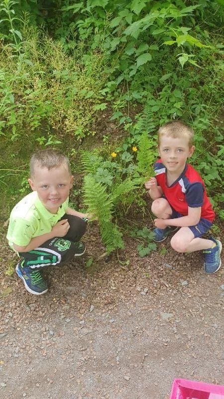 Micheal and Aidan investigating different leaves. π³