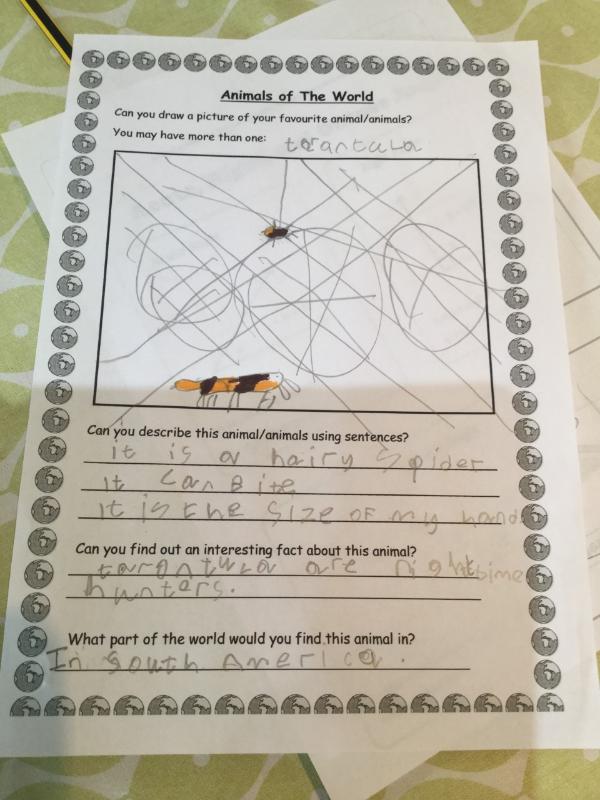Fionn Oisin, What wonderful WAU research! Your teachers are delighted!