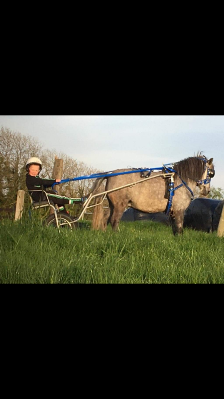 Oh Wow!! Micheal with his gorgeous pony, Silver.