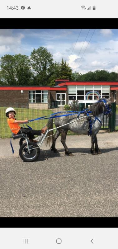 Micheal and his pony Silver. π€©Can you see where they are?!!