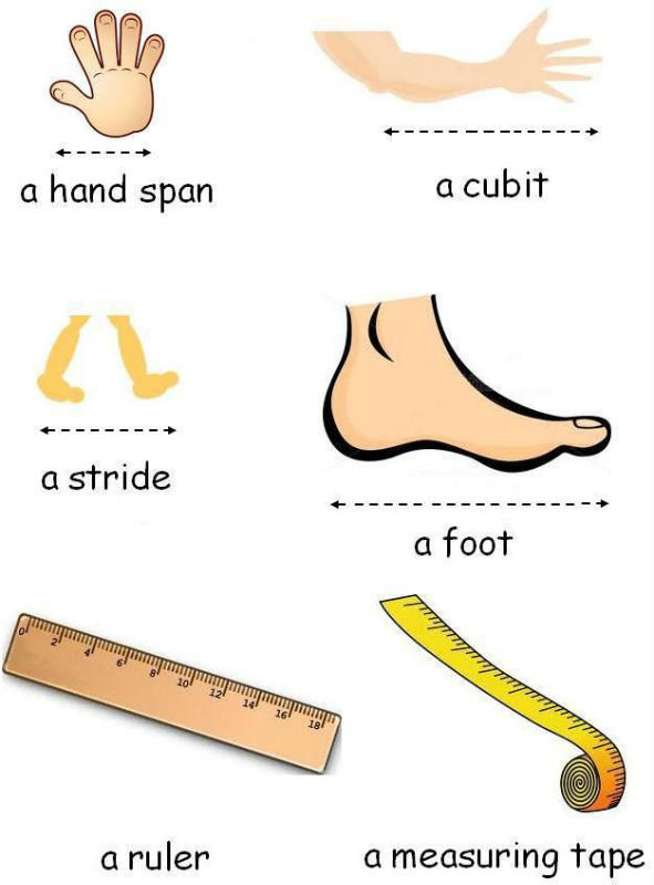 primary-three-measuring