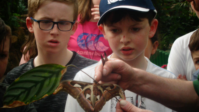 Joshua and Connor at Butterfly World