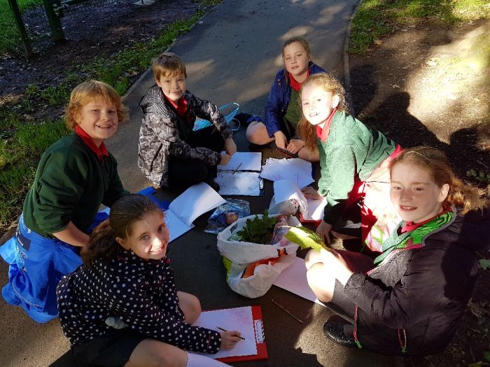 Identifying leaves from six different trees found in the park.
