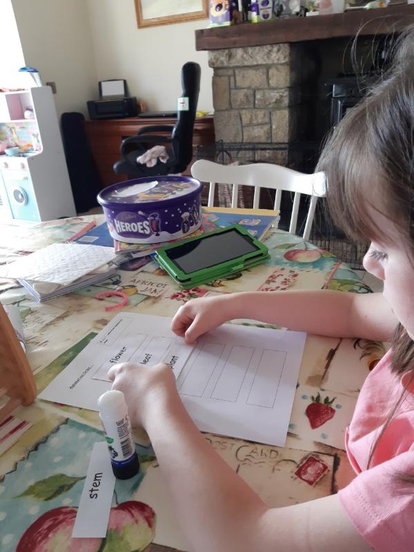 Anna H working on alphabetical order. Well done Anna!