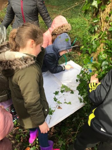 P4 Trip to Magilligan Field Centre