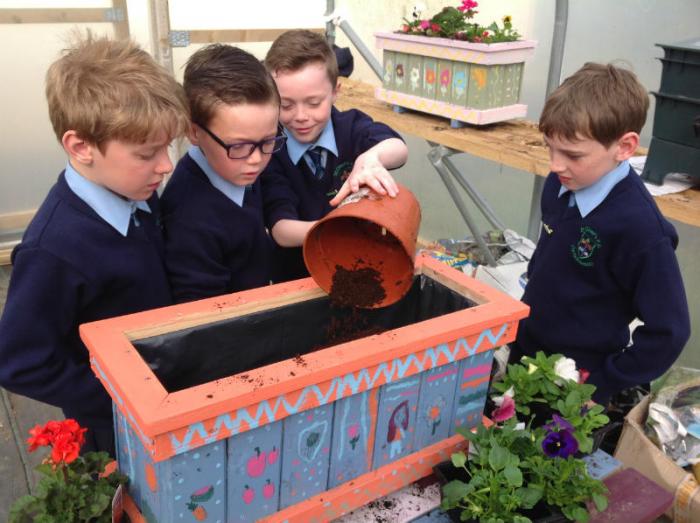 P5 Lads planting their flower Boxes