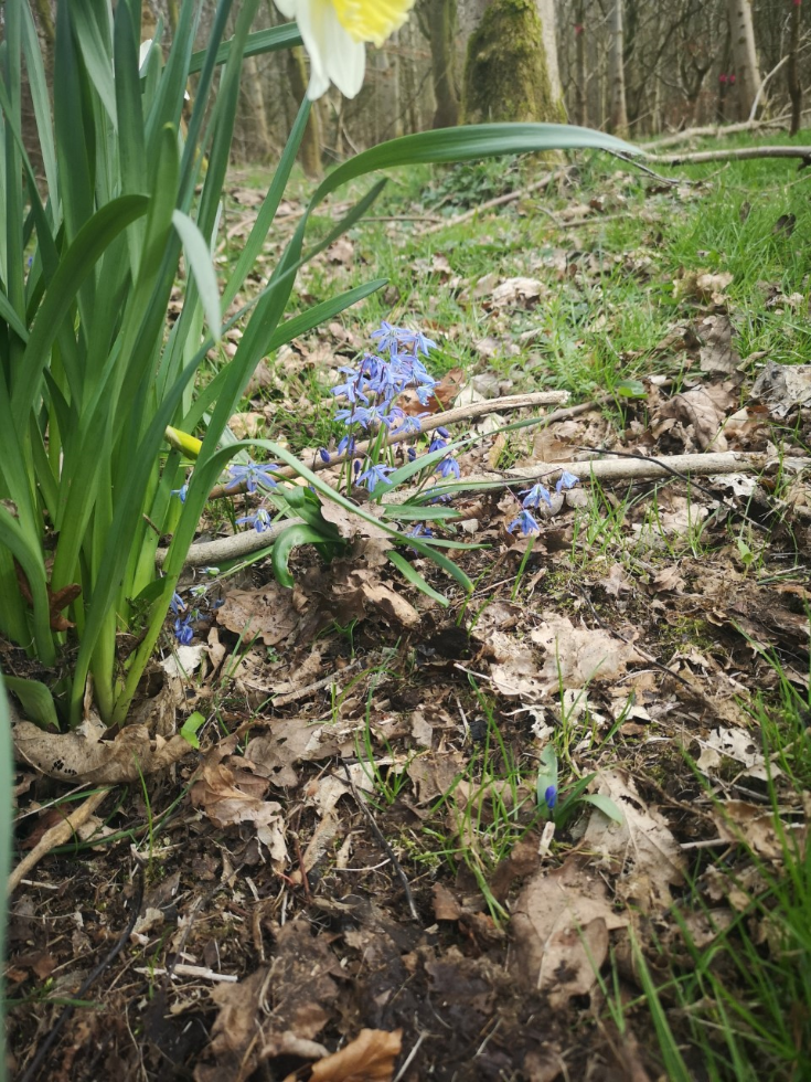 Thank God for Spring!