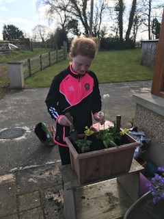 Get Creative Get Active🌞😎Your flowers will be beautiful when they blossom.