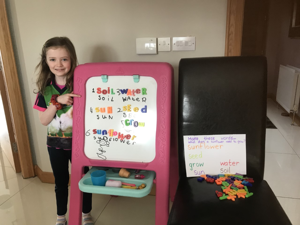 Using magnetic letters to spell sunflower words, a great idea!