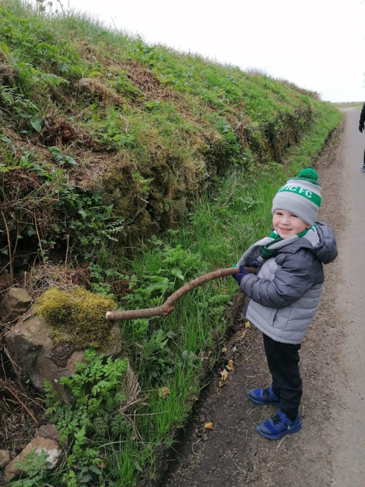Tick for both stick and moss.