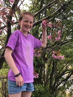 Oh the beauty of the cherry blossoms!🌸