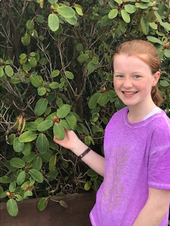 Green leaves! 🌿✅One tick on the scavenger hunt!
