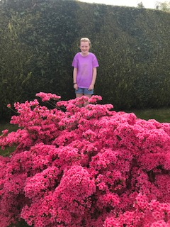 The Earth's bounty. Oh I love the shade of pink.🌺
