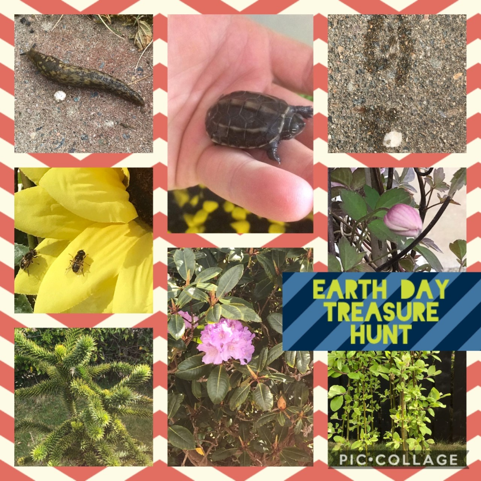 Earth Day 2020 Treasure Hunt #greatfinds