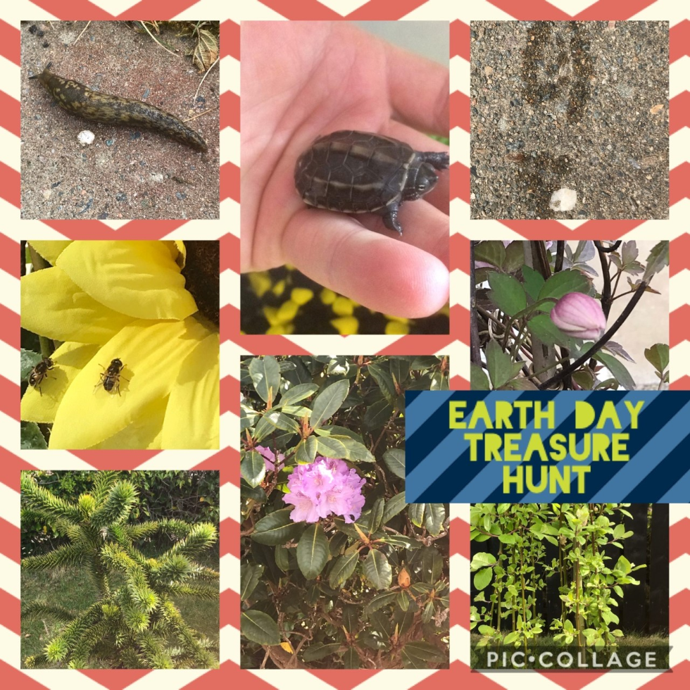 Earth Day 2020 Treasure Hunt #greatfinds 