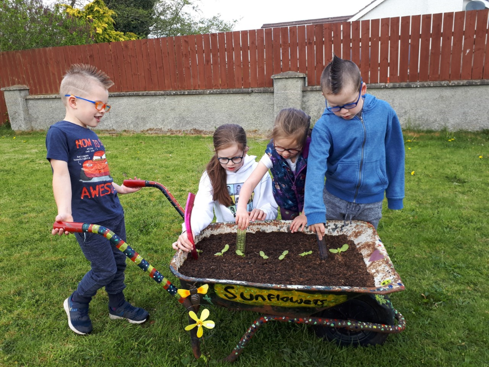 Your suflowers have a great head start! Will they be the tallest sunflowers?