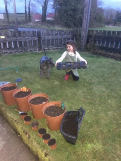 Hoping we have enough seeds. #greatgardening