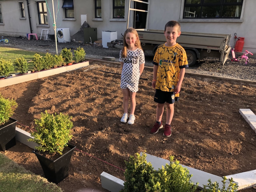 Another plot! Another project!